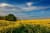 wilamowice-5249675 1280
