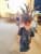 IMG 20260528 143737