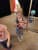 IMG 20260528 143813