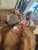 IMG 20261022 134335